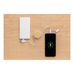 RCS recycled plastic Ontario 6-in-1 retractable cable - Image 10