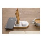 Ontario RCS rplastic 10W dual wireless - Image 9