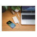 10.000 mah wheat straw powerbank - Slika 9