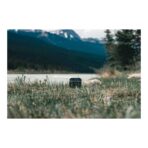 RCS recycled plastic Swiss Peak TWS earbuds 2.0 - Image 13