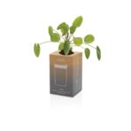 Avira Alya RCS Re-steel tumbler 300ML - Slika 16