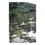 Bamboo and RCS certfied recycled plastic torch - Slika 9