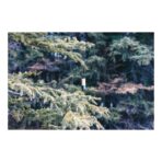 Bamboo and RCS certfied recycled plastic torch - Slika 10