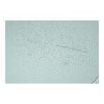 Bobby Edge - Image 15