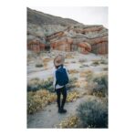 Impact AWARE™ 1200D Minimalist 15.6 inch laptop backpack - Slika 11