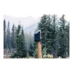 Swiss Peak Fern AWARE™ RPET all over zipper 15.6" backpack - Image 12