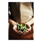 VINGA Asado Apron - Slika 4