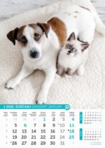 "PSI i MAČKE" 13 list., dim: 30,5x50 cm, PVC vrećica, P/50, kalendar u boji