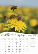 "PČELE" 13 list., dim: 30,5x50 cm, PVC vrećica, P/50, kolor kalendar