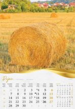 "MOJA ZLATNA SLAVONIJA i BARANJA" 13 list., dim: 33x55 cm, PVC vrećica, P/40, kolor kalendar