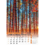 "SVIJET U BOJI" 13 list., dim: 30,5x50 cm, PVC vrećica, P/50, color kalendar - Image 14