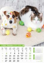 "PSI i MAČKE" 13 list., dim: 30,5x50 cm, PVC vrećica, P/50, kalendar u boji