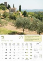 "MASLINE" 13 list., dim: 30,5x50 cm, PVC vrećica, P/50, color kalendar