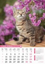 "PSI i MAČKE" 13 list., dim: 30,5x50 cm, PVC vrećica, P/50, kalendar u boji