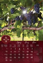 "VINO" 13 list., dim: 33x55 cm, PVC vrećica, P/40, color kalendar