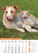 "PSI i MAČKE" 13 list., dim: 30,5x50 cm, PVC vrećica, P/50, kalendar u boji