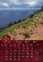 "VINO" 13 list., dim: 33x55 cm, PVC vrećica, P/40, color kalendar