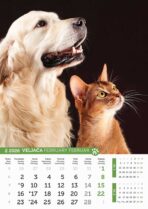 "PSI i MAČKE" 13 list., dim: 30,5x50 cm, PVC vrećica, P/50, kalendar u boji