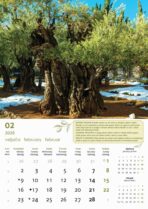 "MASLINE" 13 list., dim: 30,5x50 cm, PVC vrećica, P/50, color kalendar