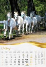 "MOJA ZLATNA SLAVONIJA i BARANJA" 13 list., dim: 33x55 cm, PVC vrećica, P/40, kolor kalendar