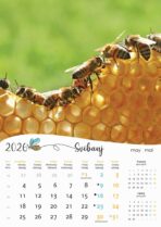 "PČELE" 13 list., dim: 30,5x50 cm, PVC vrećica, P/50, kolor kalendar