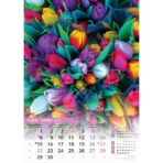 "SVIJET U BOJI" 13 list., dim: 30,5x50 cm, PVC vrećica, P/50, color kalendar - Image 7