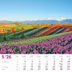 "ČARI PRIRODE" 13 lis. dim: 33x40cm, PVC vrećica, P/50, color kalendar