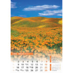 "SVIJET U BOJI" 13 list., dim: 30,5x50 cm, PVC vrećica, P/50, color kalendar - Image 10