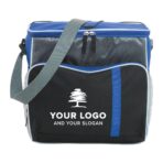 Polyester (600D) cooler bag Ravi