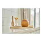 ABS humidifier Ronin - Image 7