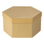 Cardboard box art set Kenji