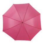 Umbrella Andy