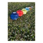 Polyester (190T) umbrella Andy - Image 4