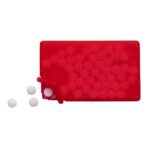 PP case with mints Judith - Image 4