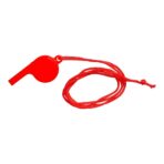 PS whistle Josh - Image 3