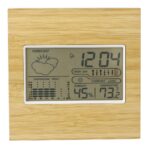 Bamboo weather station Lia
