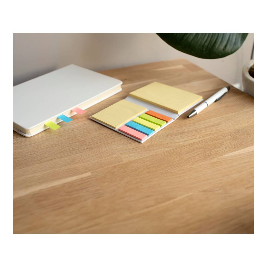 Cardboard holder with sticky notes Duke