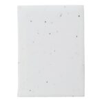 Paper sticky notes seed paper Patricia