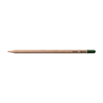 SPROUT - Colored pencil