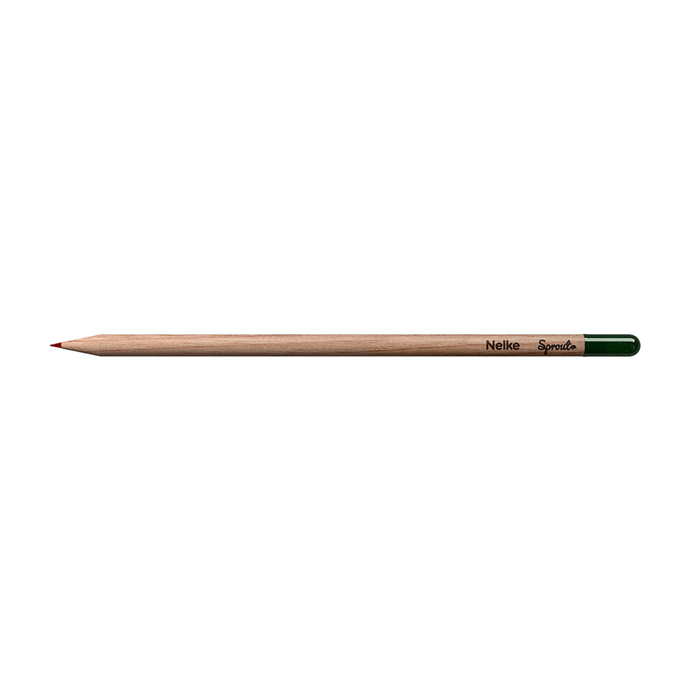 SPROUT - Colored pencil