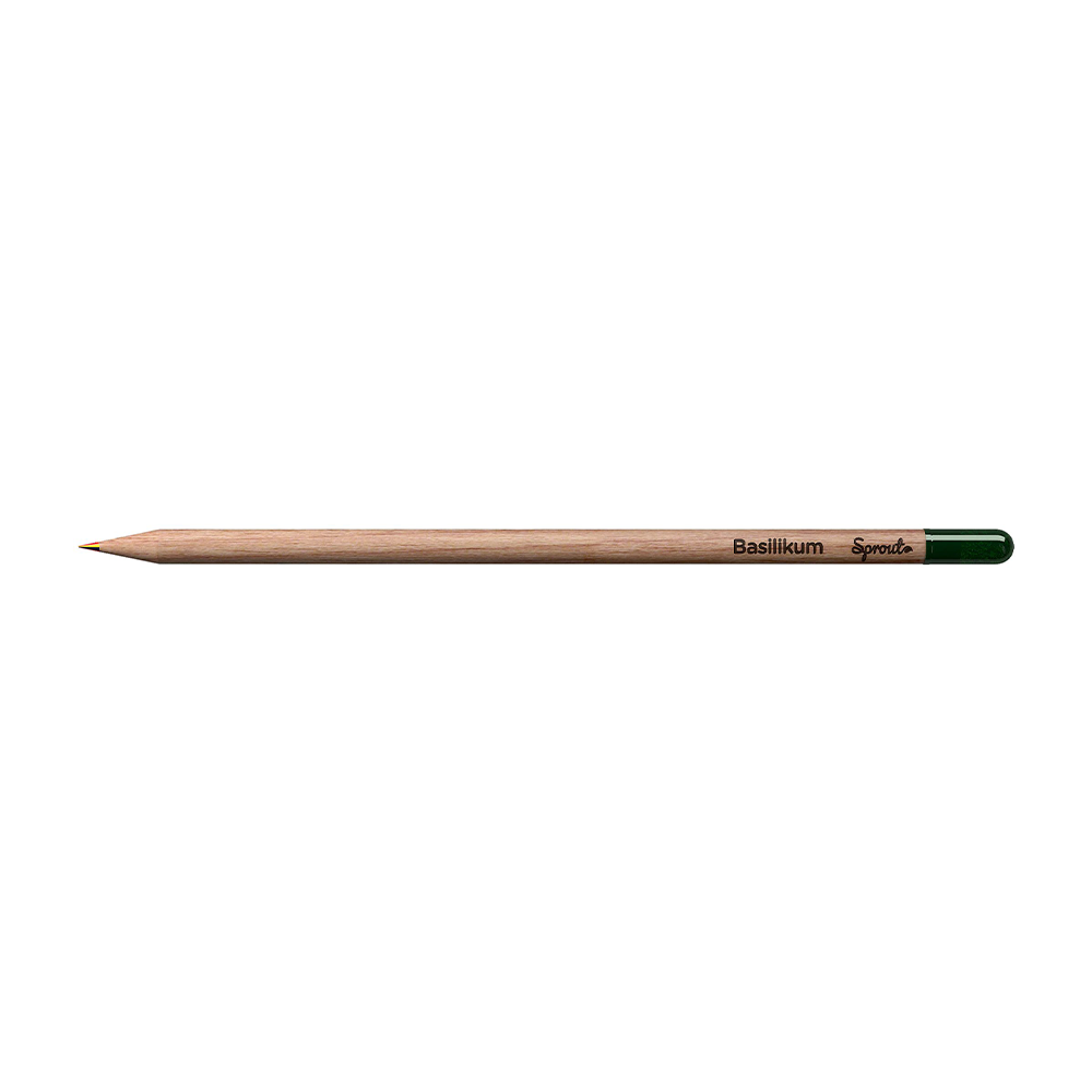SPROUT - Multicolored pencil