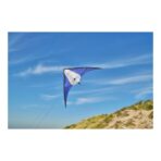 Polyester (210T) delta kite Lirien - Image 7