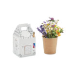 House shaped seeds grow set - Image 6