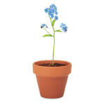 Terracotta pot 'forget me not' - Image 5