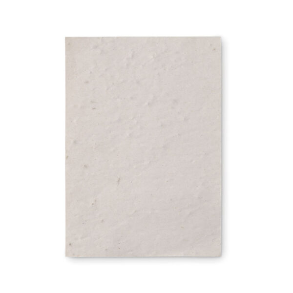 mo6916-06-back
