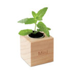 Herb pot wood "MINT" - Image 3