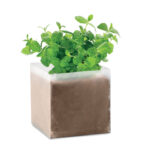 Compost with seeds "MINT"custom prom