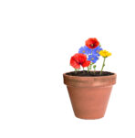 Flobba seed ball - Image 6