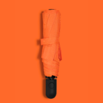Active Set: Thermal Water Bottle And Automatic Umbrella - Image 4