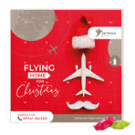 Square advent calendar, Cardboard cover white, Ritter SPORT chocolate cubes - Slika 2